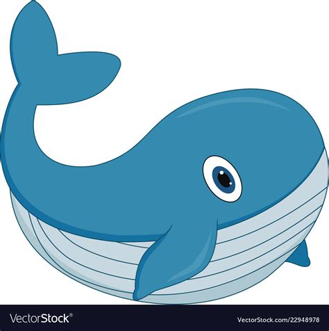 cartoon whale images